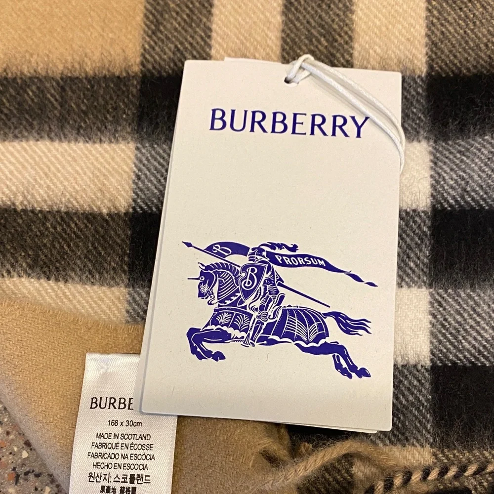 Burberry Beige and Black Cashmere Scarf - Picture 2 of 5